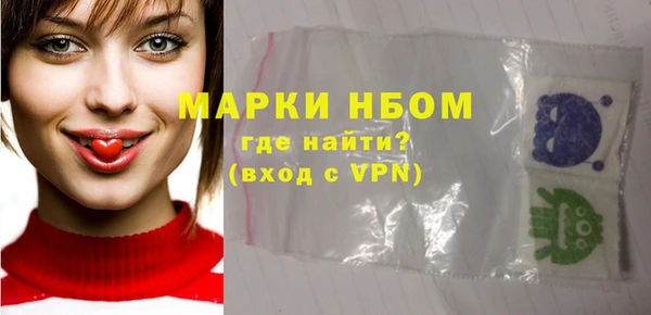 шишки Абаза