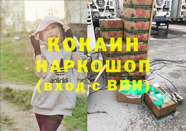 сатива Абинск