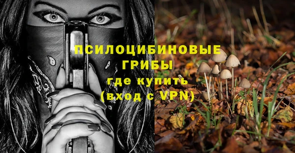 шишки Абаза