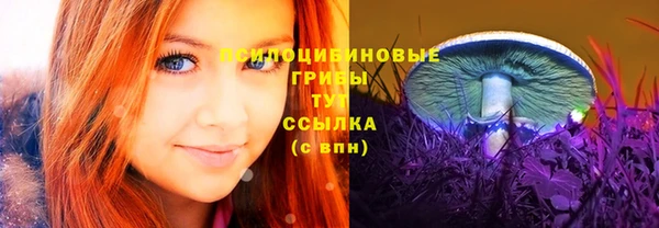 сатива Абинск